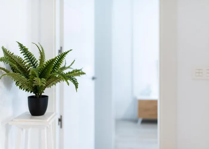 Centrico En Apartman Granada